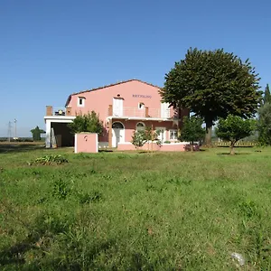 Podere Ricciolino Castagneto Carducci