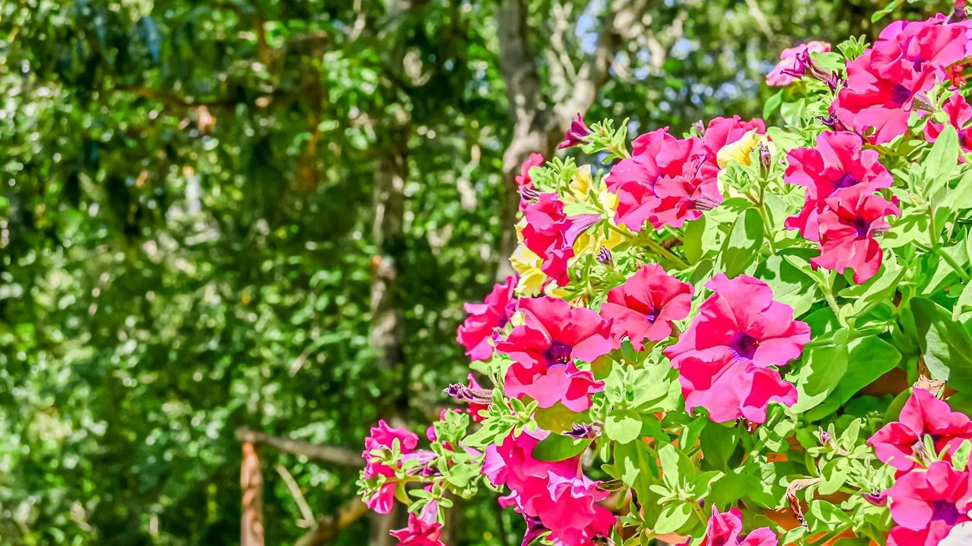 Farm stay Bolgheri24 Castagneto Carducci